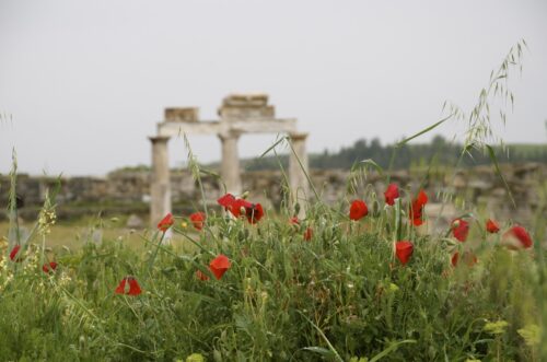 Hiérapolis, Pamukkale (Turquie - 15 avril 2013)